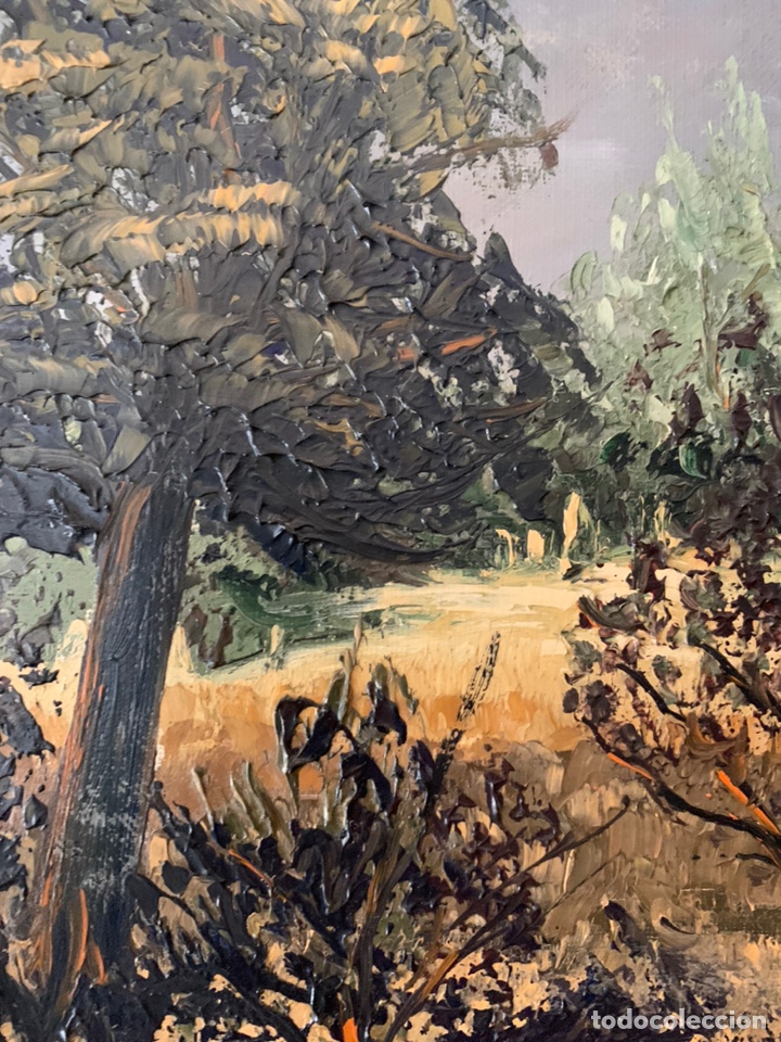 Arte: Raimundo de Blas. Arboleda - Foto 5
