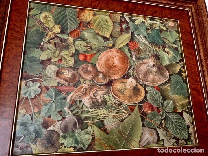 Arte: Joan Pujol Rodriguez 1948, oleo hiperrealista de setas, rovellons o niscalos, 43,5x36,5 cm obra