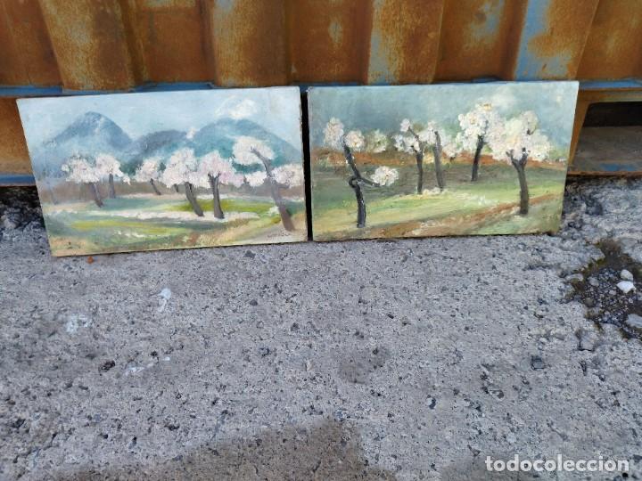 Arte: Oleos almendros - Foto 4