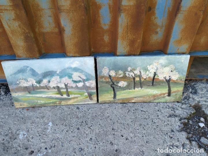 Arte: Oleos almendros - Foto 5