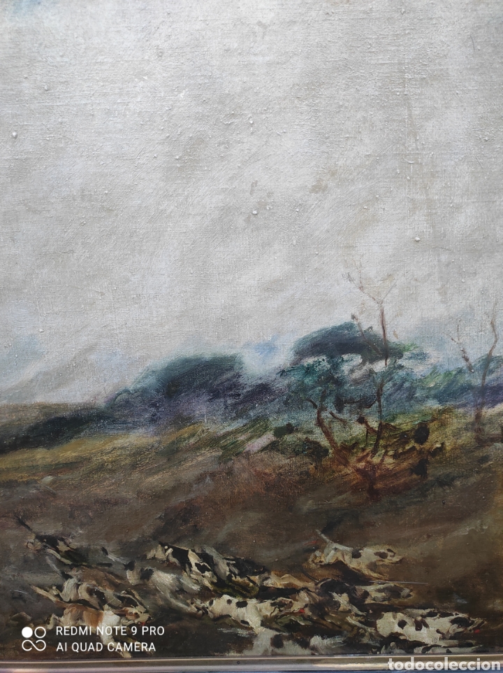 Arte: Jos&eacute; Morillo y Ferradas - Foto 8