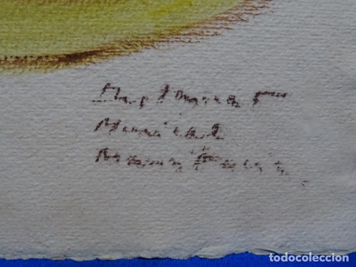 Arte: &Oacute;LEO AFRICANO ILEGIBLE. - Foto 7