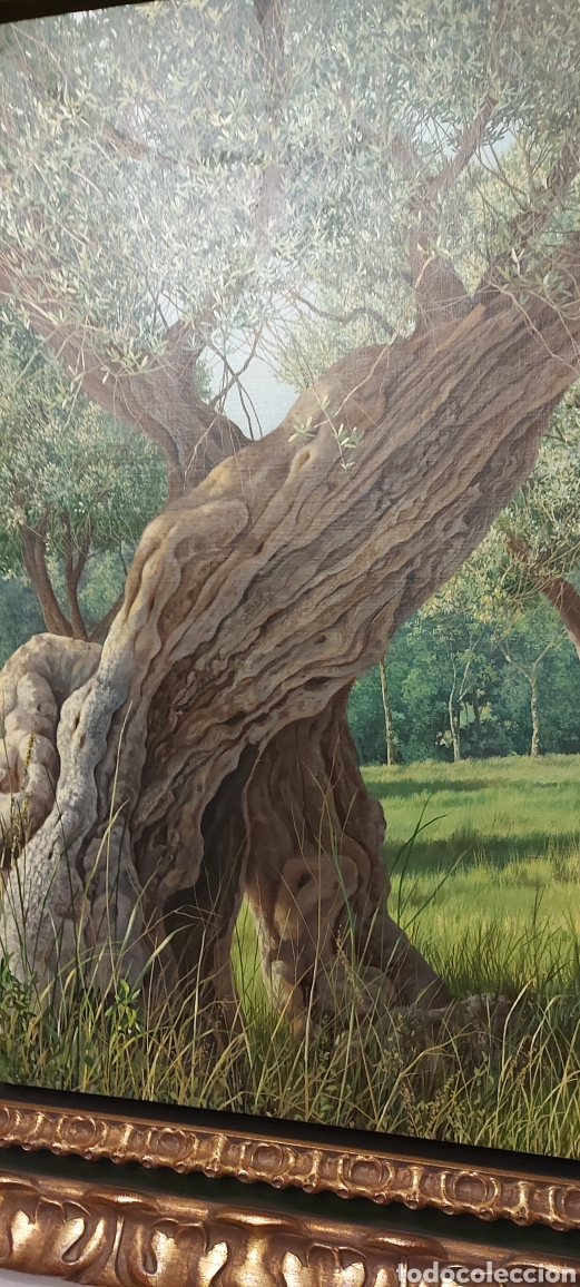Arte: Magn&iacute;fico &oacute;leo - Foto 2
