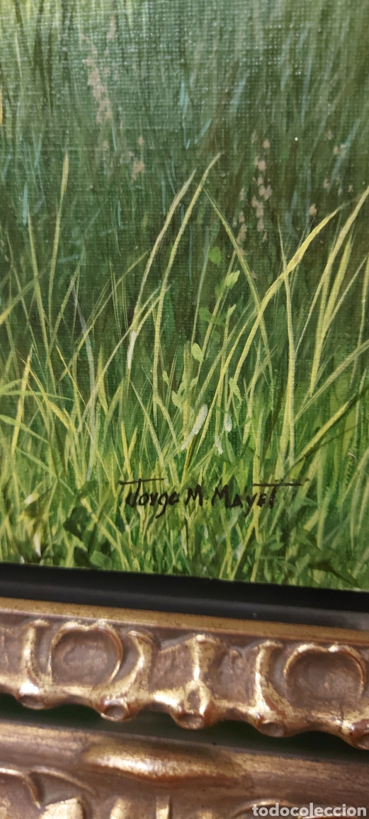 Arte: Magn&iacute;fico &oacute;leo - Foto 3
