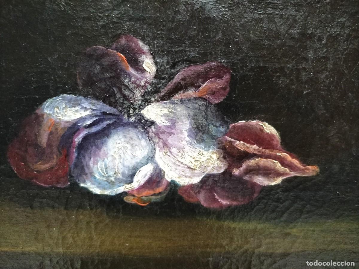 Arte: Cuadro de flores del siglo XVIII - Foto 6