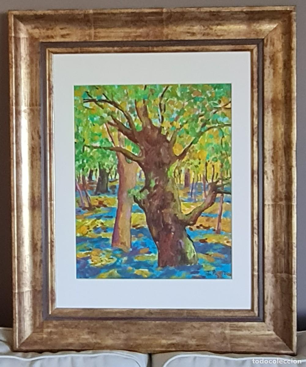 Arte: Cuadro al oleo - Arbol en oto&ntilde;o - Foto 1