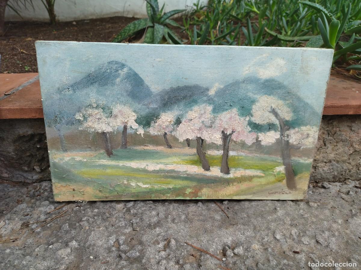 Arte: 2 cuadros almendros oleo - Foto 2