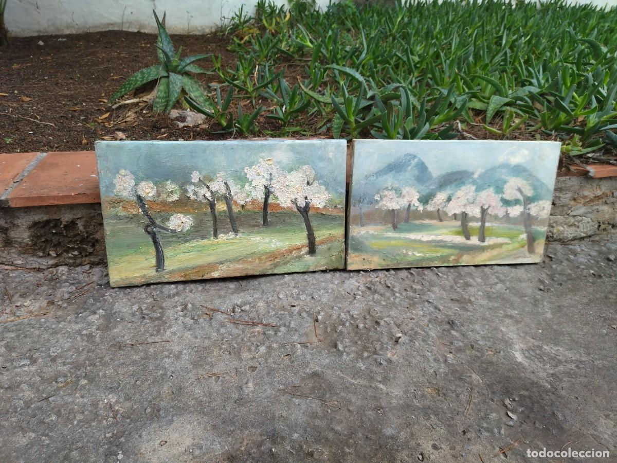 Arte: 2 cuadros almendros oleo - Foto 3