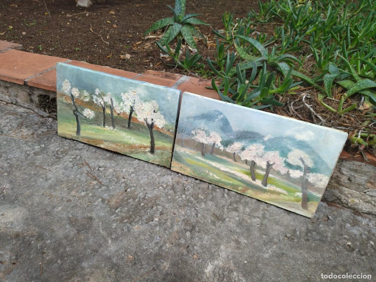 Arte: 2 cuadros almendros oleo - Foto 4