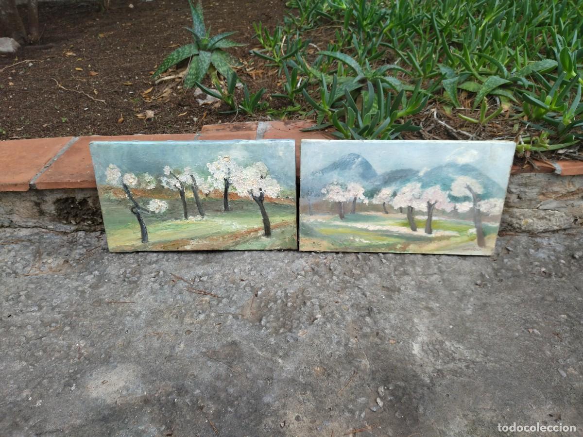 Arte: 2 cuadros almendros oleo - Foto 1