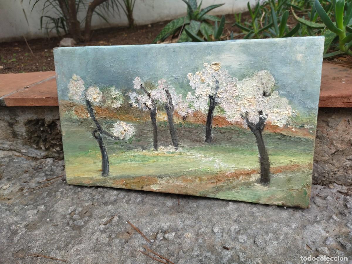 Arte: 2 cuadros almendros oleo - Foto 5