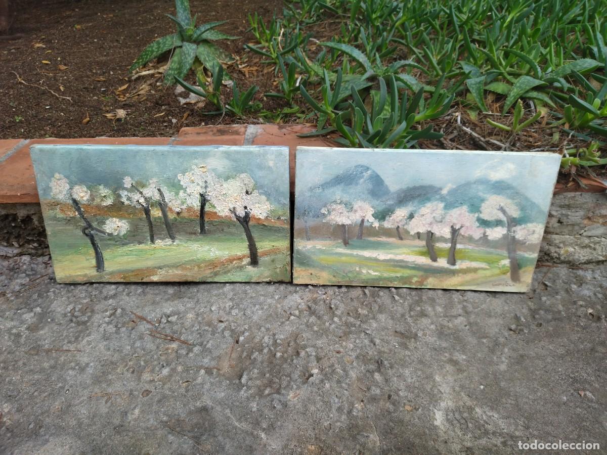 Arte: 2 cuadros almendros oleo - Foto 6