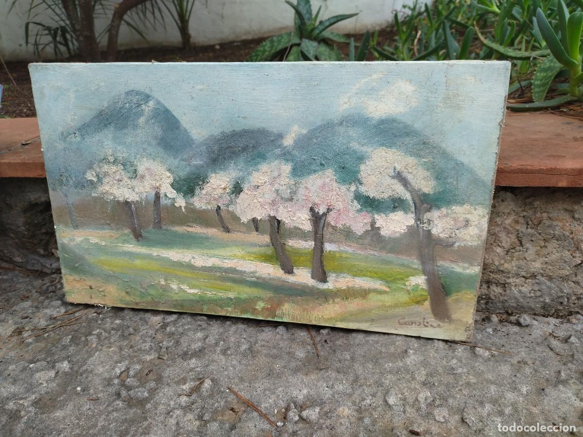Arte: 2 cuadros almendros oleo - Foto 7