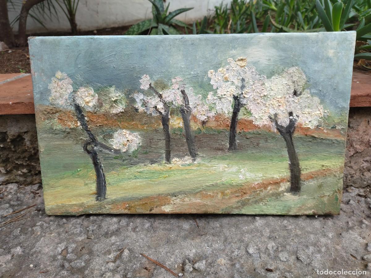 Arte: 2 cuadros almendros oleo - Foto 8