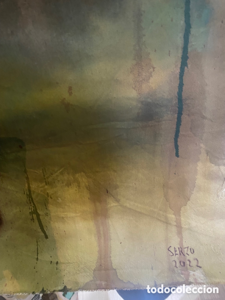Arte: &Oacute;leo Jose Luis Serzo - Foto 6