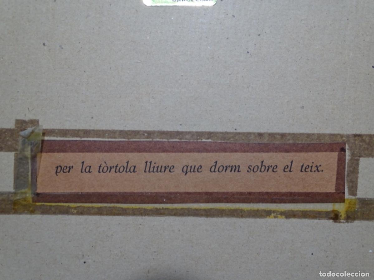 Arte: T&Eacute;CNICA MIXTA DE VILA MONCAU. - Foto 9