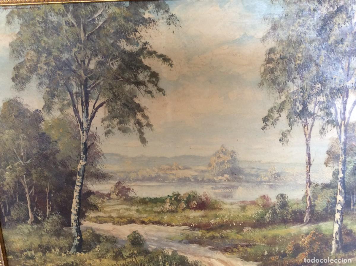 Arte: PAISAJE. R. BAGINSKI. - Foto 3