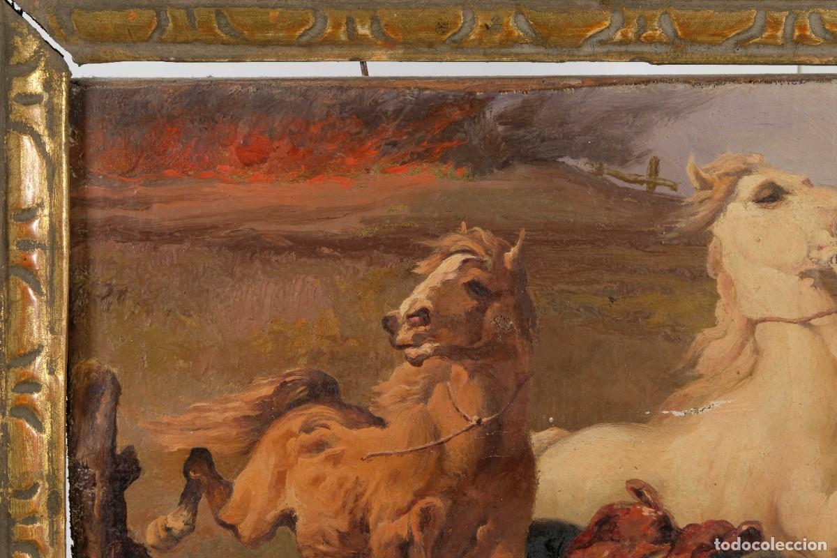 Arte: &Oacute;leo sobre lienzo pegado a t&aacute;blex Caballos - Foto 3