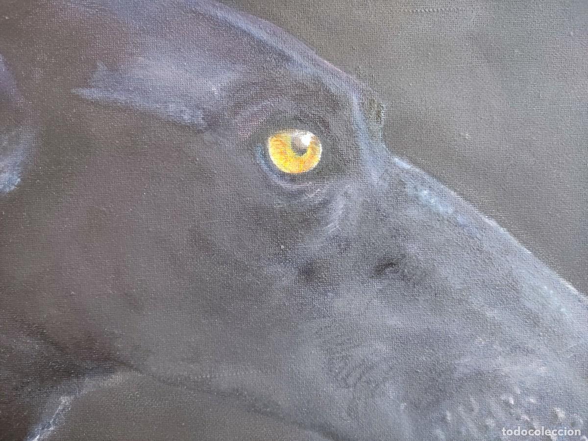 Arte: Cuadro, pintura al oleo de INI: perro (2) - Foto 2