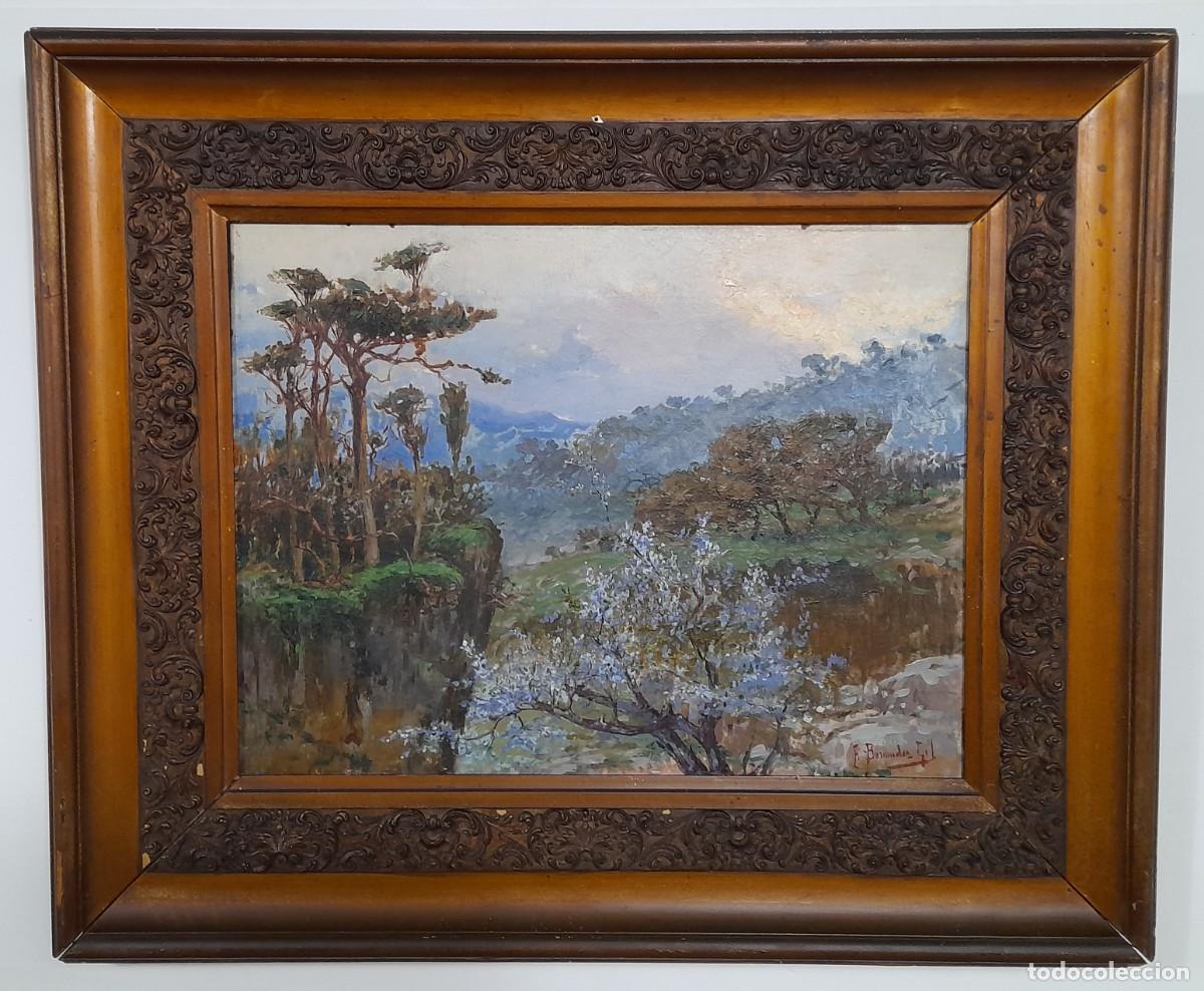 federico bermúdez gil (málaga 1865-1957) pintur - Compra venta en ...