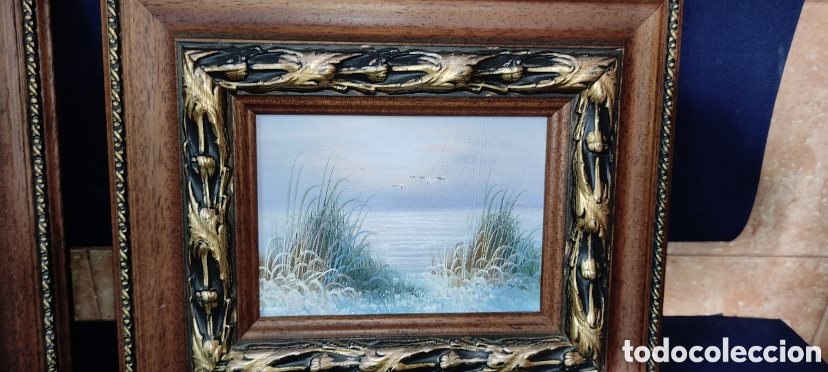 Arte: Cuadros, OLEOS ALBUFERA DE VALENCIA - Foto 2