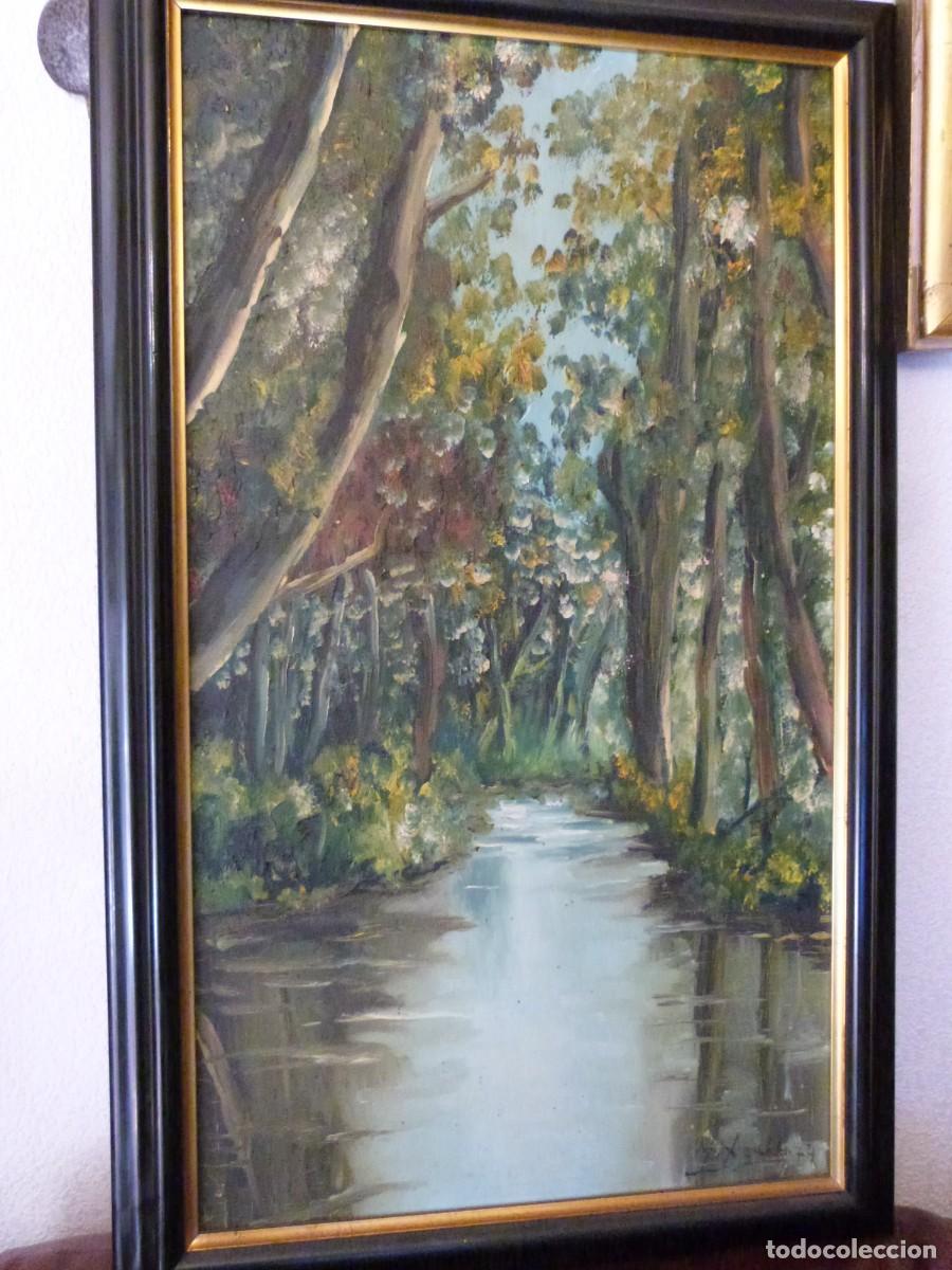 Arte: BOSQUE FLUVIAL. OLEO LIENZO, 38X69, MARCO 49X79, FECHADO 74, ILIGEBLE AUTOR.