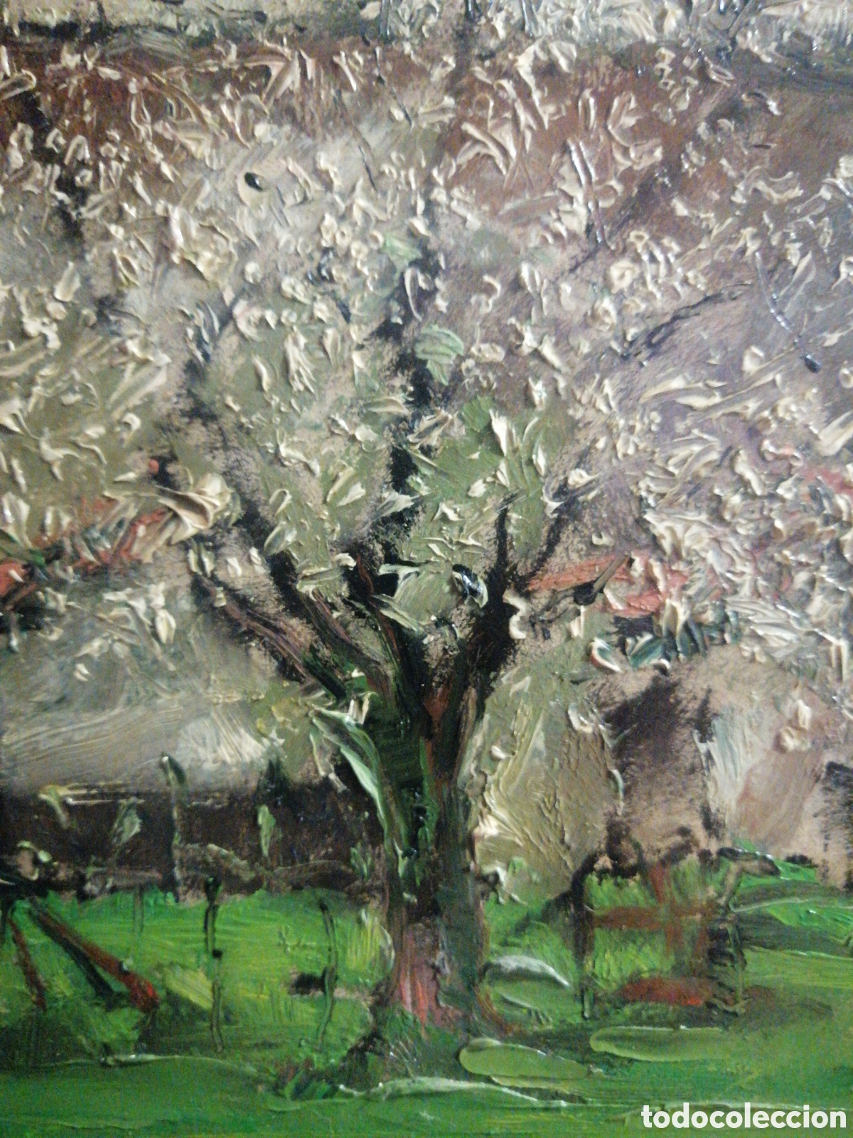 Arte: Cestero, Francisco &rdquo;Almendros en flor&rdquo; - Foto 3