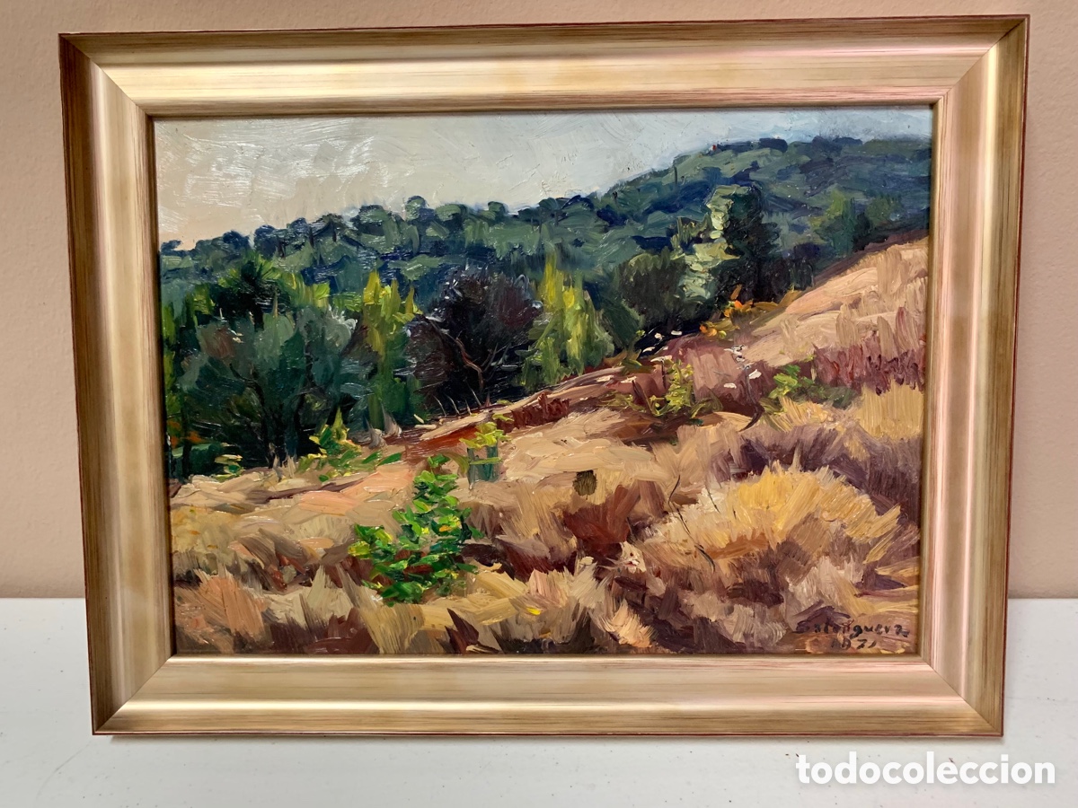 Arte: Adolf Salanguera i Abella 1929-2000 Sabadell, paisaje de 1971, 32x23 cm obra