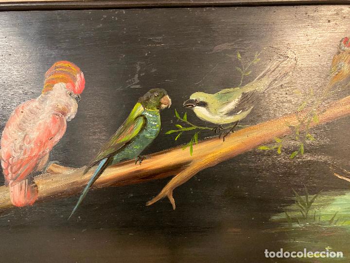 Arte: PAJAROS EN OLEO SOBRE TABLA - Foto 3