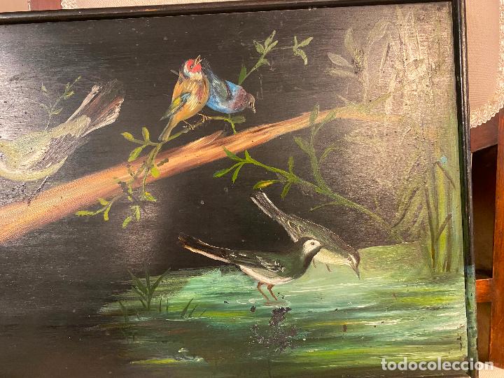 Arte: PAJAROS EN OLEO SOBRE TABLA - Foto 4