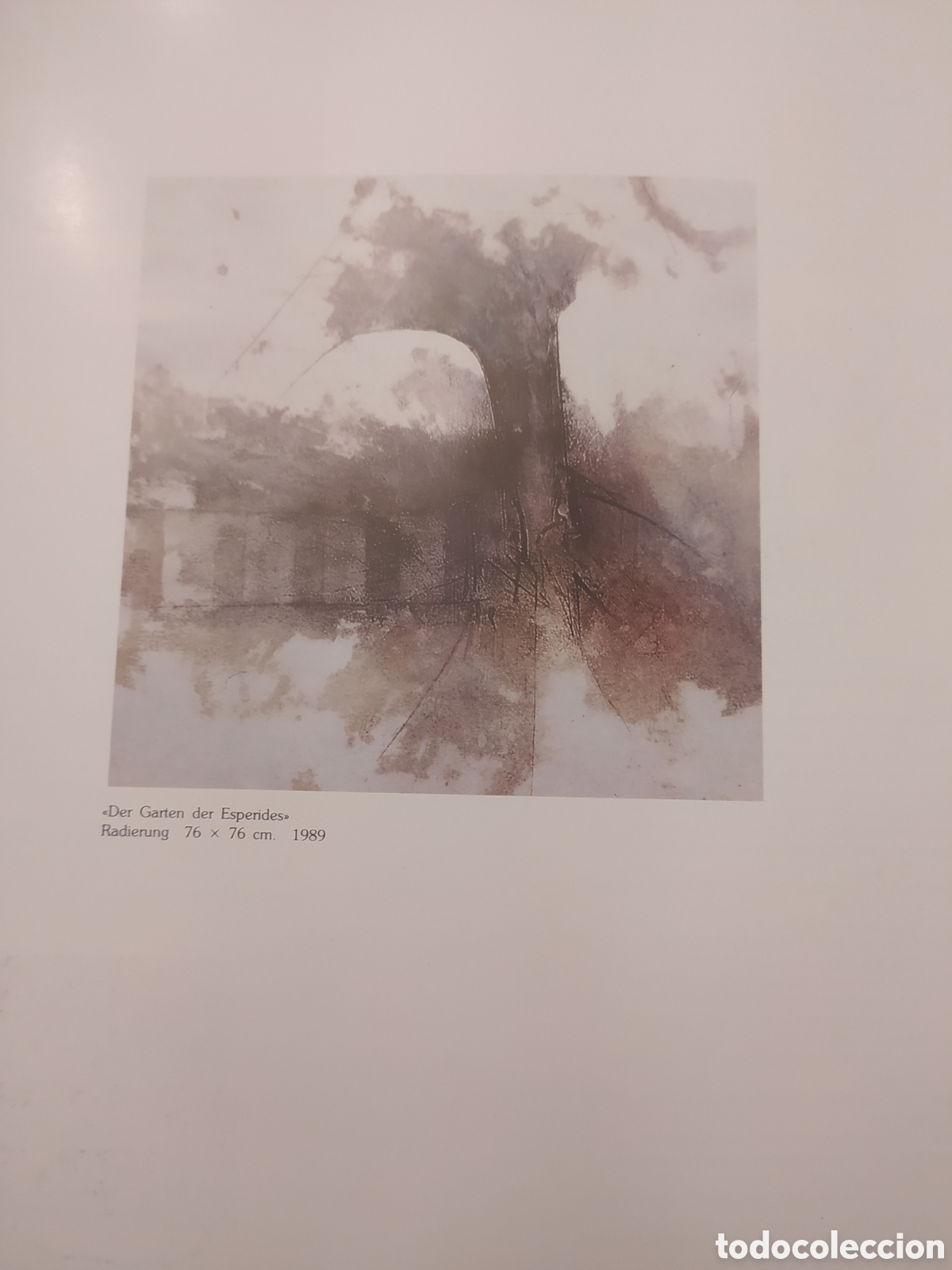 Arte: RODR&Iacute;GUEZ GUY LIBRO FOLLETO Y PAPELES - Foto 10