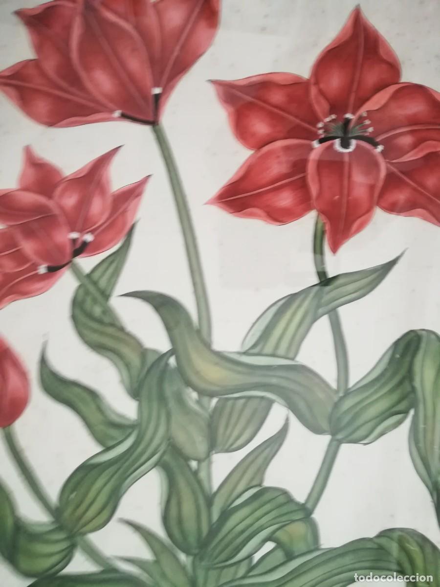 Arte: Graficos 103/77/5cm - Foto 3