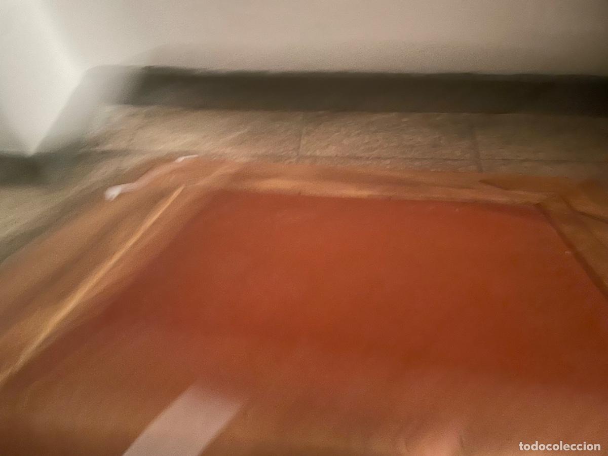 Arte: &Oacute;leo &Aacute;lvaro Delgado - Foto 5