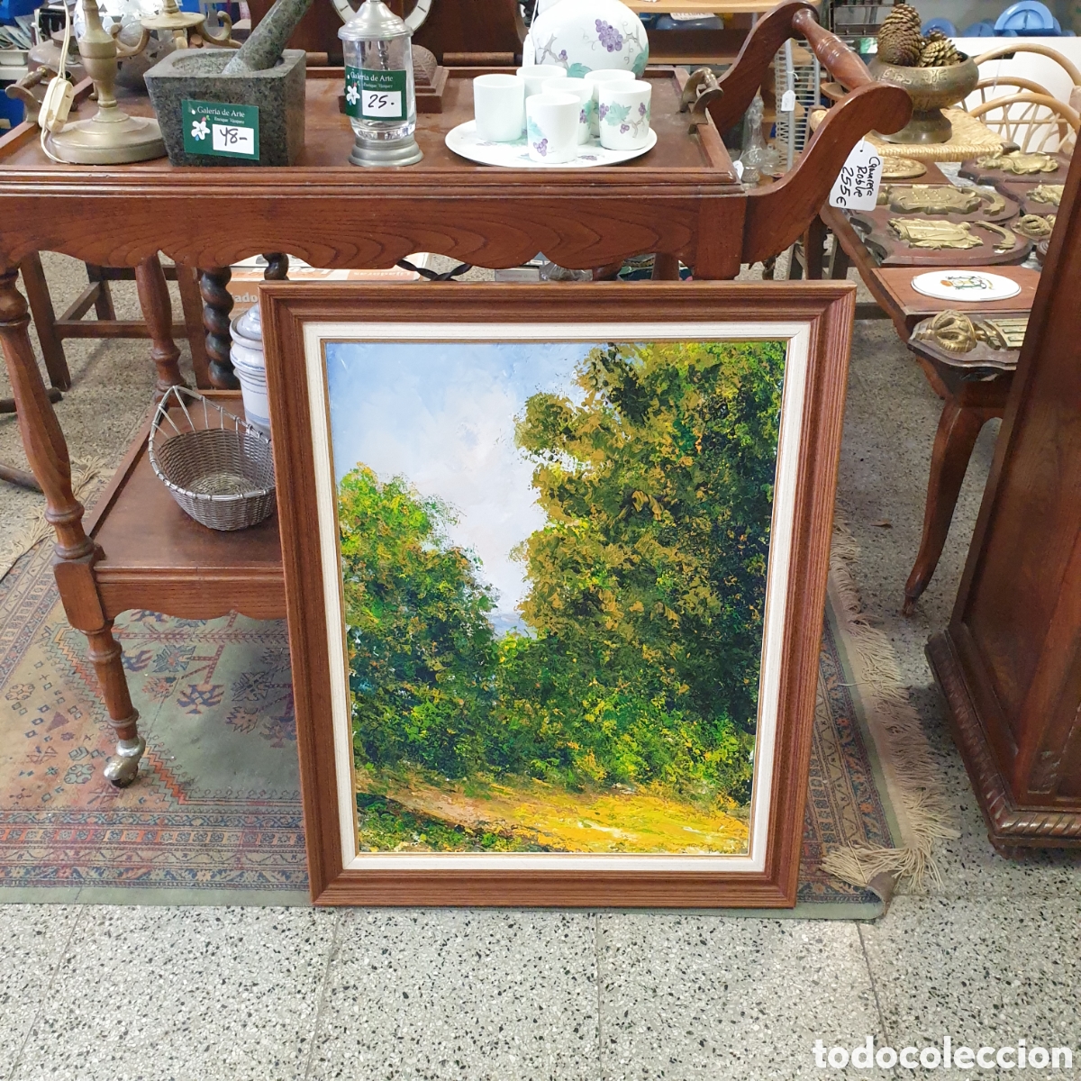 Arte: &Oacute;leo sobre lienzo 46x62 REGUEIRA