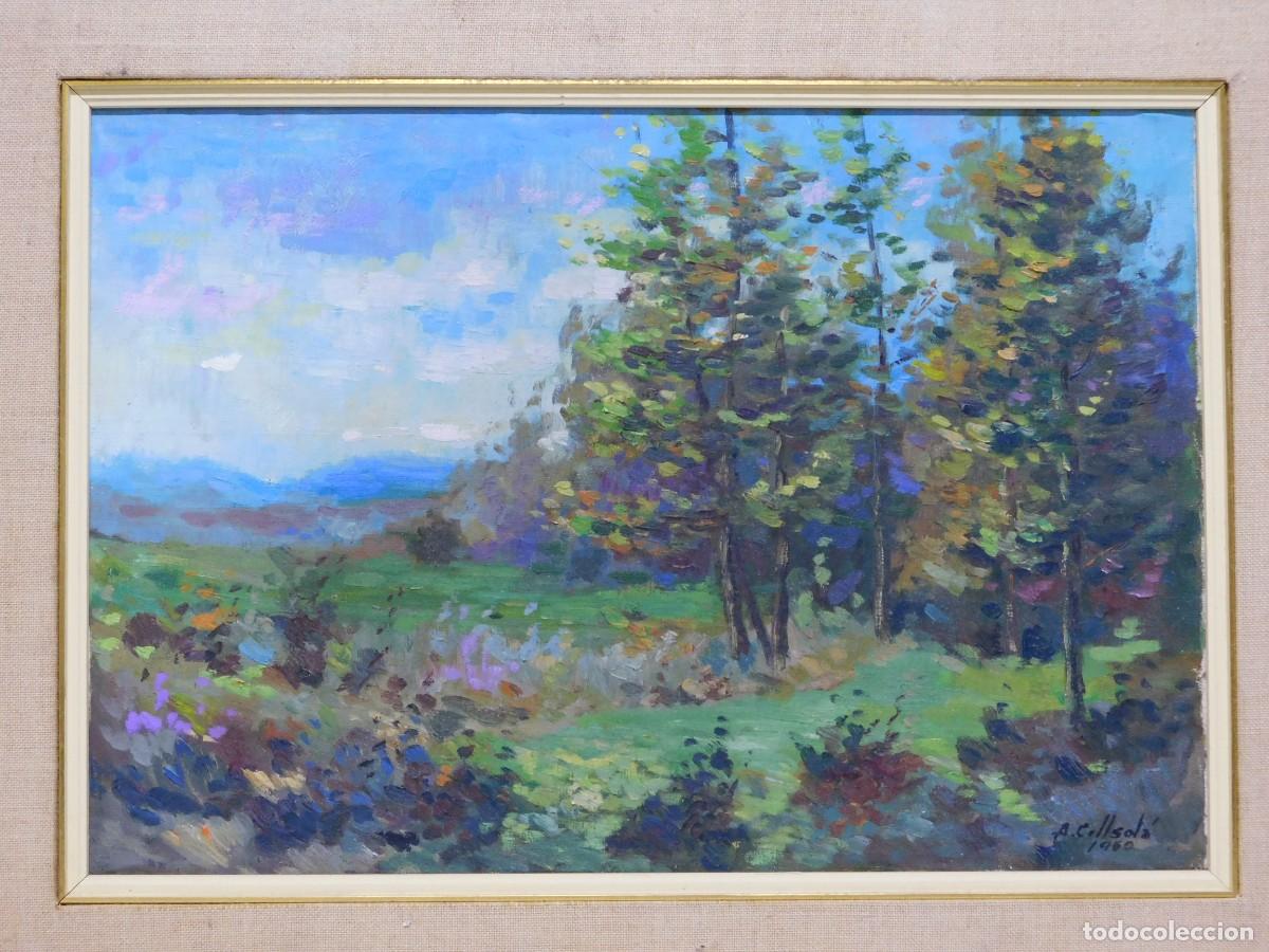 Arte: OLEO SOBRE TELA - A. COLL SOL&Aacute; - Foto 1