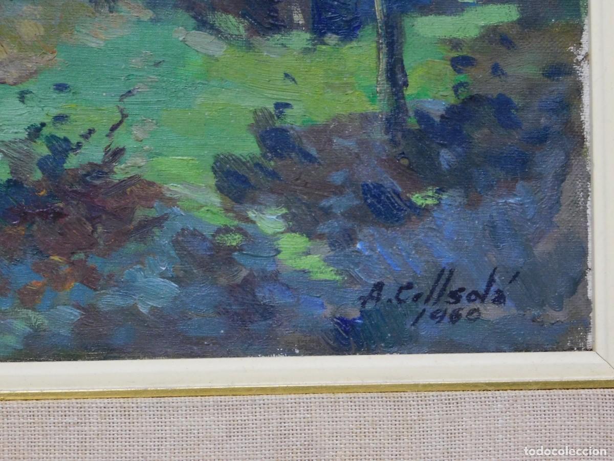 Arte: OLEO SOBRE TELA - A. COLL SOL&Aacute; - Foto 4