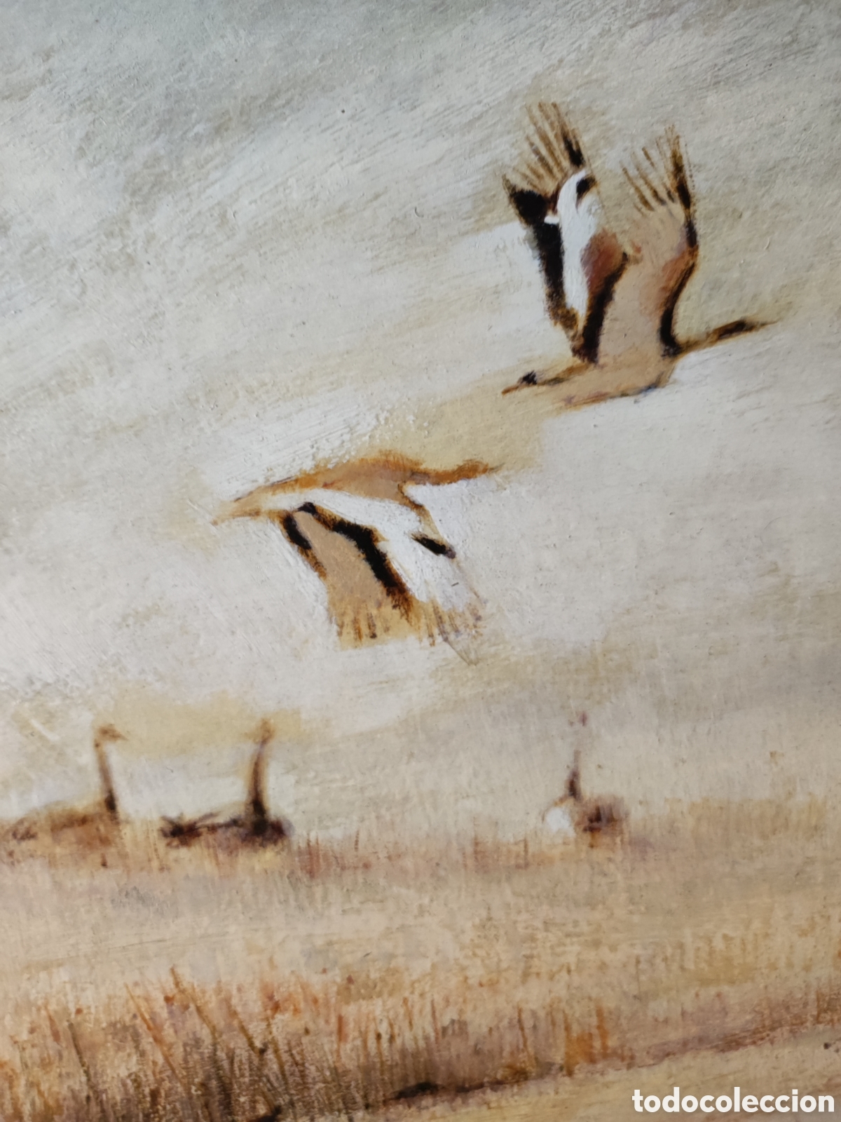 Arte: Avutardas en &Aacute;vila - Foto 5