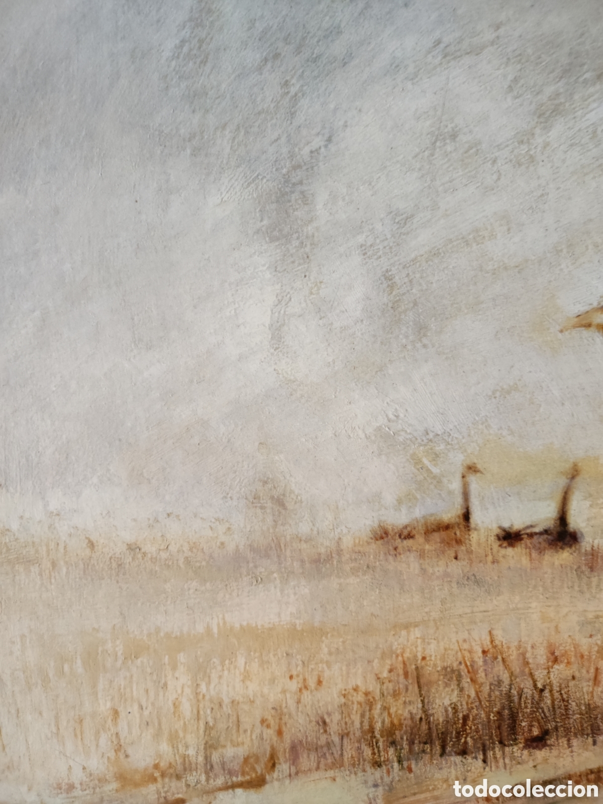 Arte: Avutardas en &Aacute;vila - Foto 7