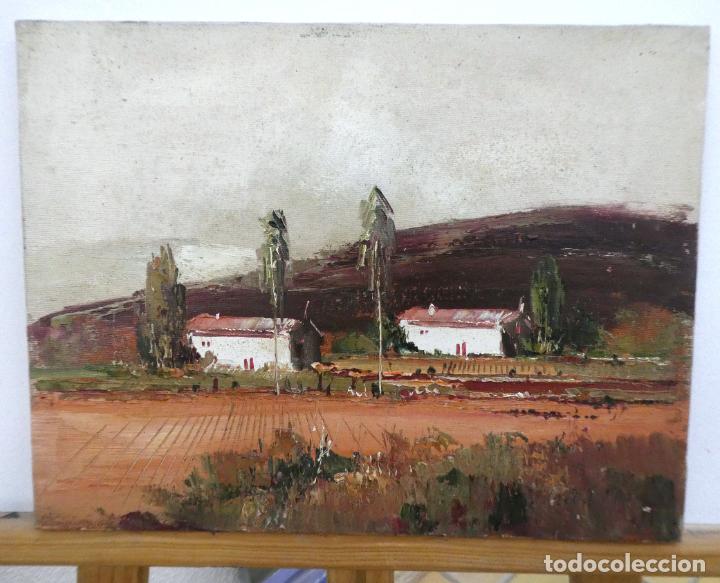 Arte: Bonito Oleo de un paisaje firmado