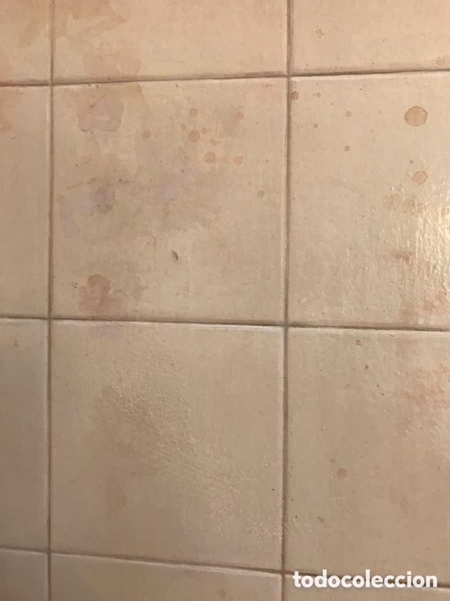 Arte: Oleo sobre madera con marco de madera tallada - Foto 11