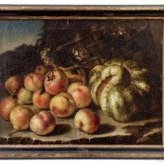 Arte: STILL LIFE WITH FRUITS FROM THE 17TH CENTURY ESCUELA ROMANA ATTRIBUTED TO PIETRO NAVARRA