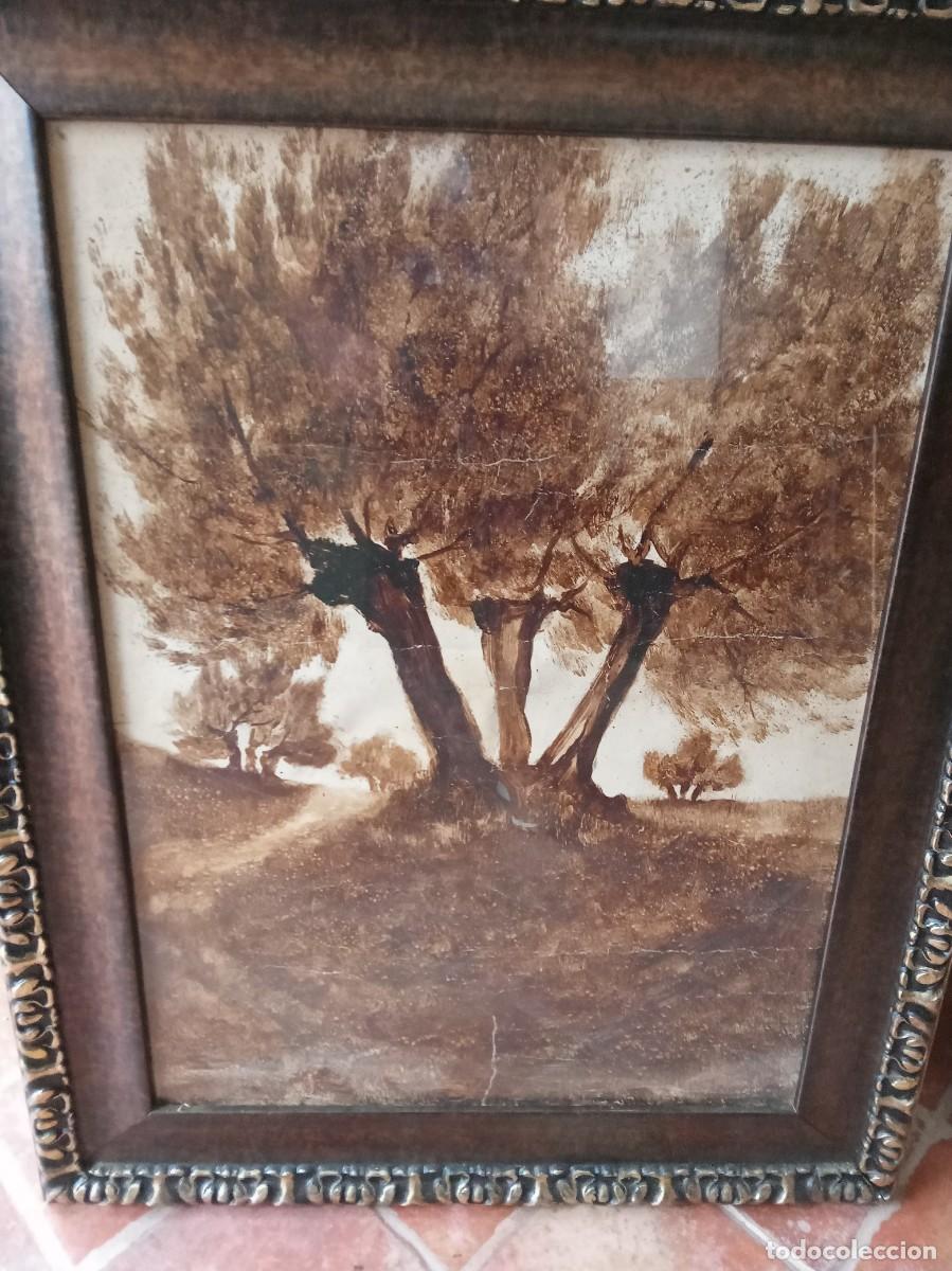 Arte: Cuadro Olivos - Foto 1