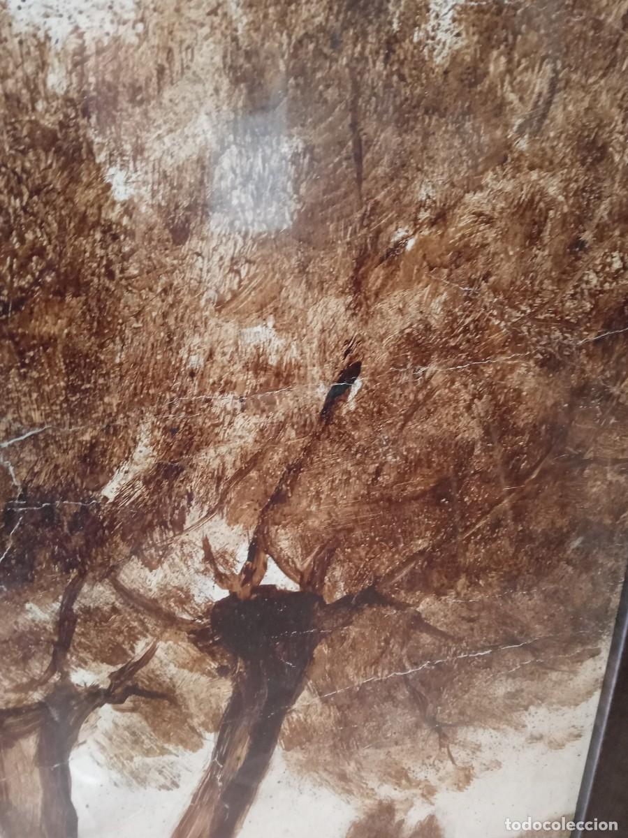 Arte: Cuadro Olivos - Foto 3