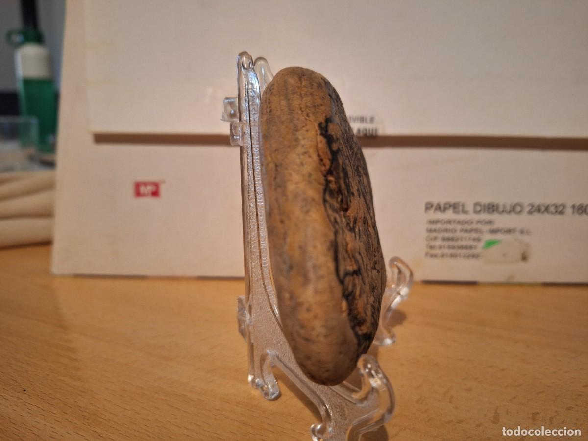 Arte: Piedra pintada al &oacute;leo - Foto 2