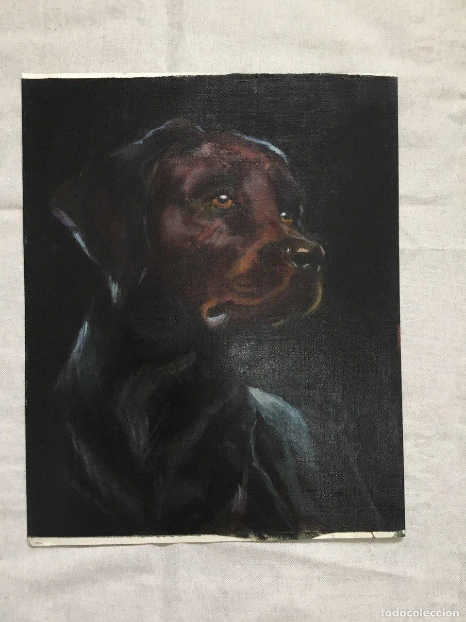 Kunst: Perro sobre negro