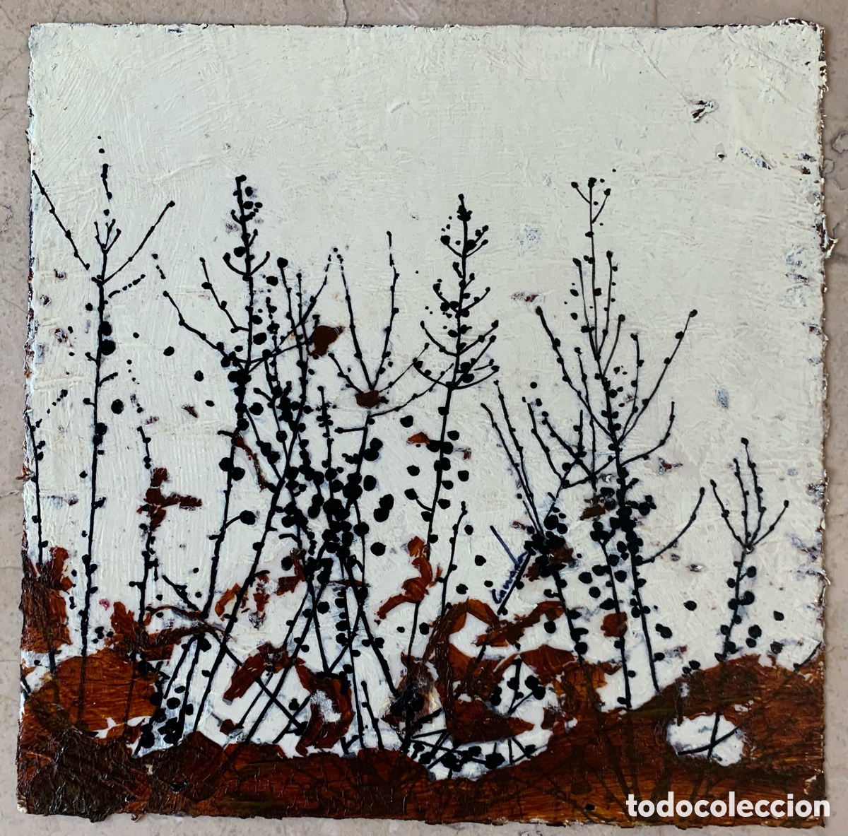 Arte: Elementos vegetales de Octavi Caneda - Foto 1