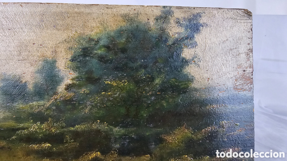 Arte: Paisaje Catal&aacute;n An&oacute;nimo - Foto 6