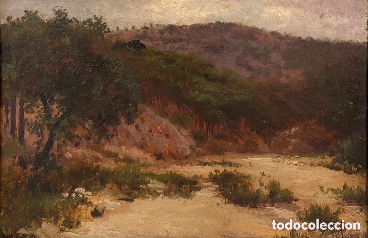 Arte: AURELI TOLOSA (1868-1931) - PAISAJE CON PINOS - 32 X 48 CM