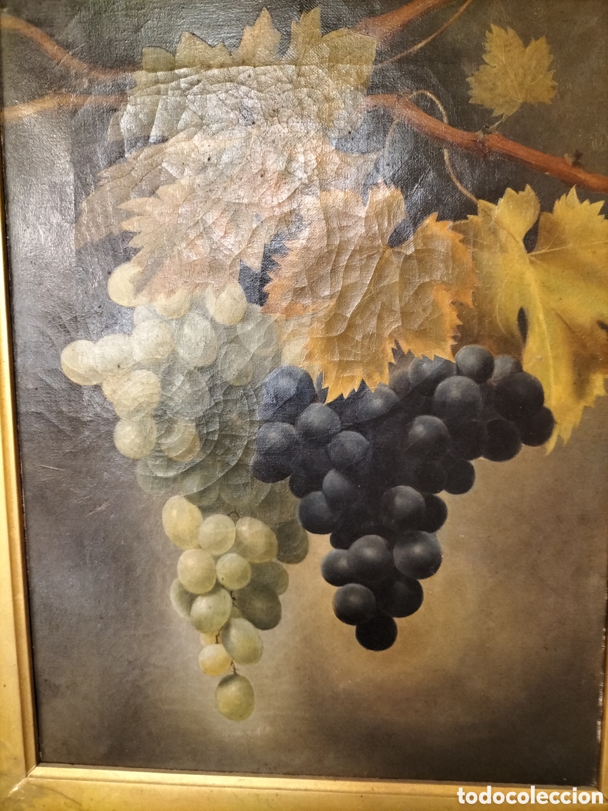 Arte: Bodeg&oacute;n de uvas, siglo XIX - Foto 2