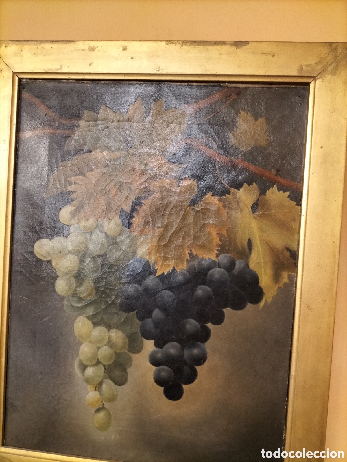 Arte: Bodeg&oacute;n de uvas, siglo XIX - Foto 1